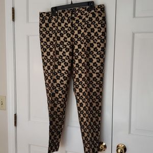 Ann Taylor's slacks